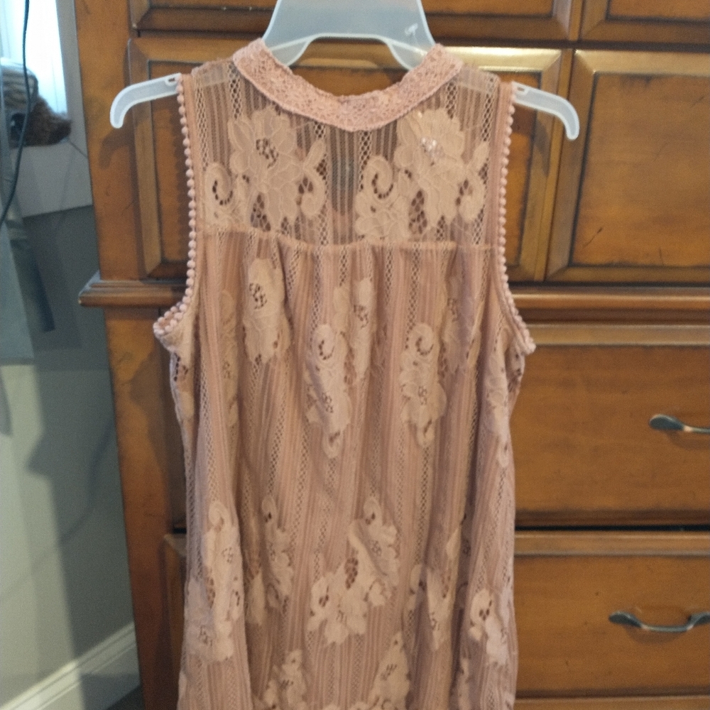 Exhilaration blush lace dress